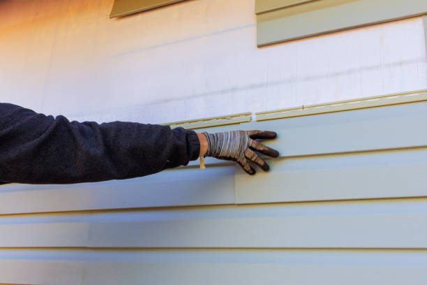 Professional Siding in Van Vleck, TX